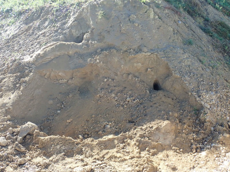 Erde kaufen Laufen Humus kaufen Laufen Sand kaufen Laufen L&ouml;ss kaufen Laufen Kies kaufen Laufen