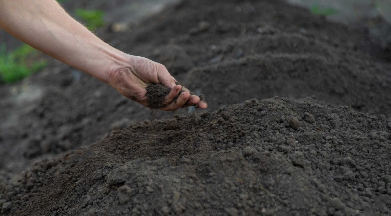 Erde kaufen Laufen Humus kaufen Laufen Sand kaufen Laufen L&ouml;ss kaufen Laufen Kies kaufen Laufen
